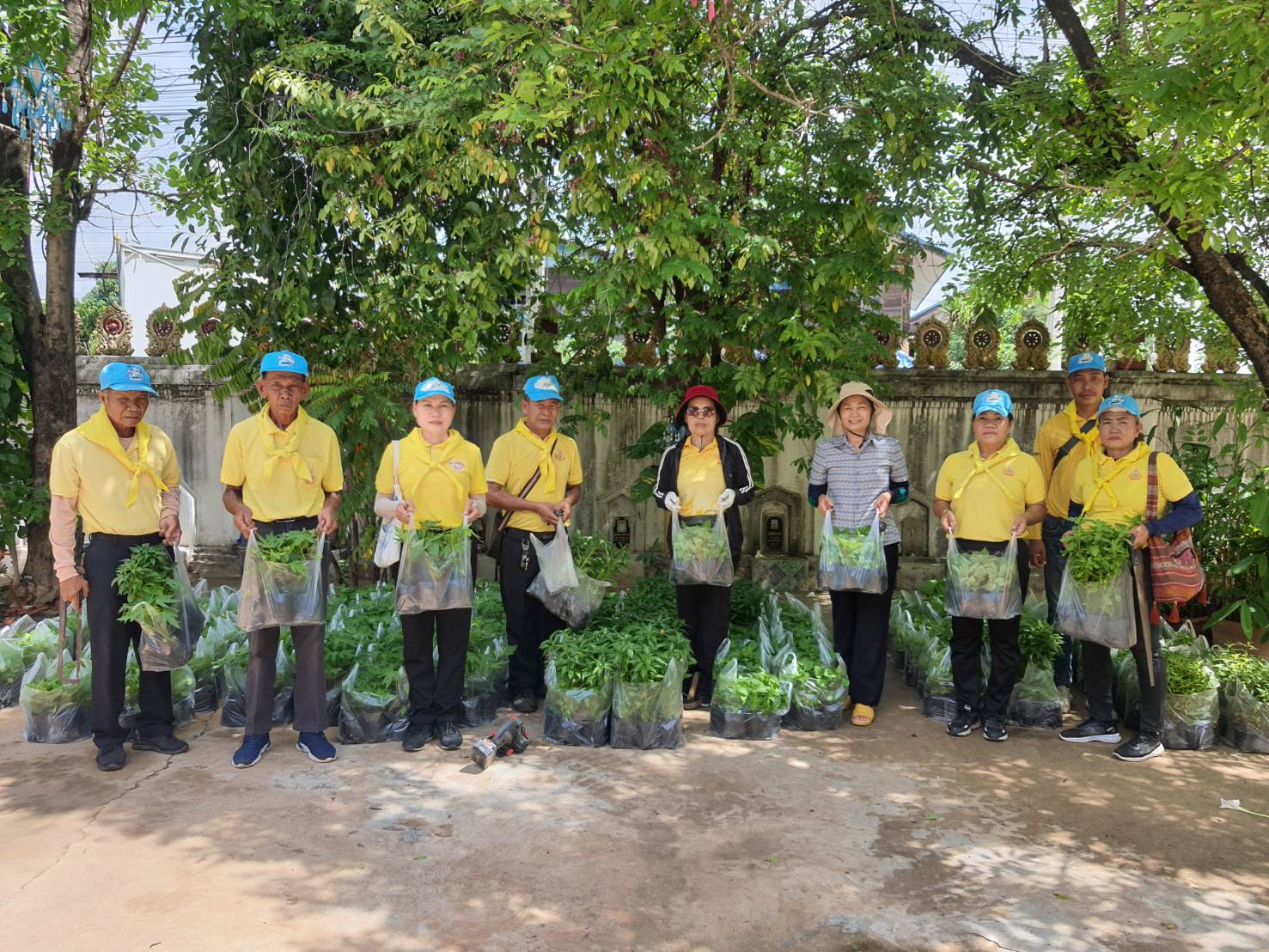 กิจกรรมปลูกผักสวนครัว เพื่อสร้างความมั่นคงทางอาหาร